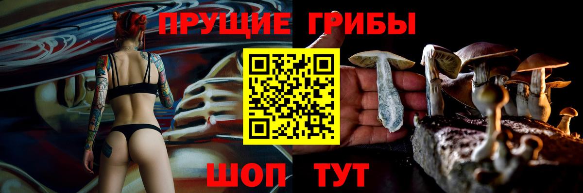 Галлюциногенные грибы прущие грибы  Вход с VPN  Кемерово 